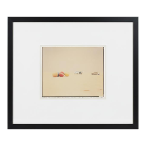 Richard Misrach Signed Limited Edition Burning Man Photograph Desert Croquet #3