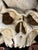 Hand Sculpted, Carved and Parcel Gilt Skull and Crossbones Memento Mori Mounted on a Decorative Plaque For Sale - Image 10 of 11
