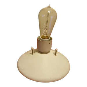 1960's Mid-Century Modern Wall/ Ceiling Light