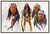 Native American Early 20th Century Apache Studies, Carl Hantman For Sale - Image 3 of 4