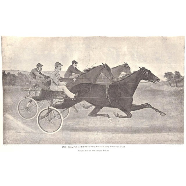 "Mosemans': Illustrated Guide for Purchasers of Horse Furnishing Goods" 1895 Moseman, c.m. For Sale - Image 13 of 18