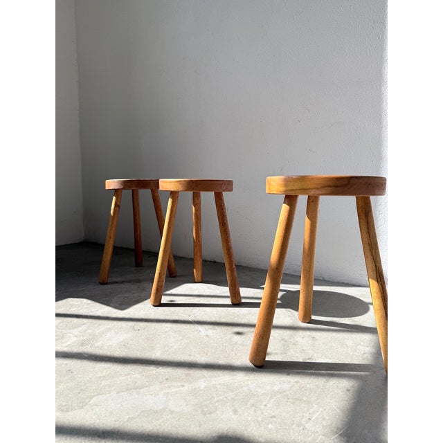 Tripod Stools in Gilded Oak, 1950s, Set of 4 For Sale - Image 13 of 18