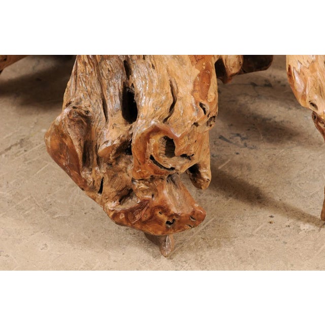 Tropical Teak Root Hardwood Coffee Table For Sale - Image 10 of 12
