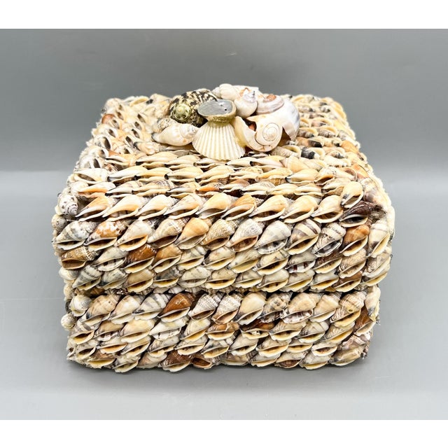 Maitland - Smith Vintage Coastal Seashell Covered Shell Encrusted Box – Coastal / Tropical For Sale - Image 4 of 18