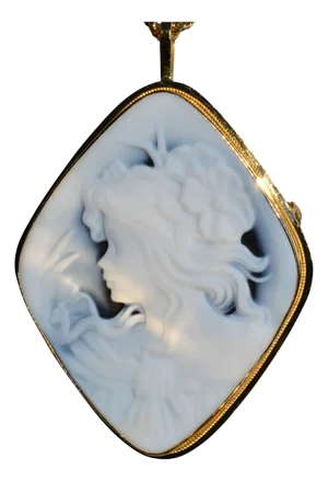 The Sebec: Ladies Vintage 14K Gold Carved Cameo in Onyx Necklace