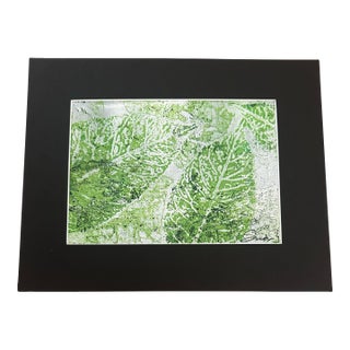 “Impressions” Original Mono Print by Nancy Smith For Sale