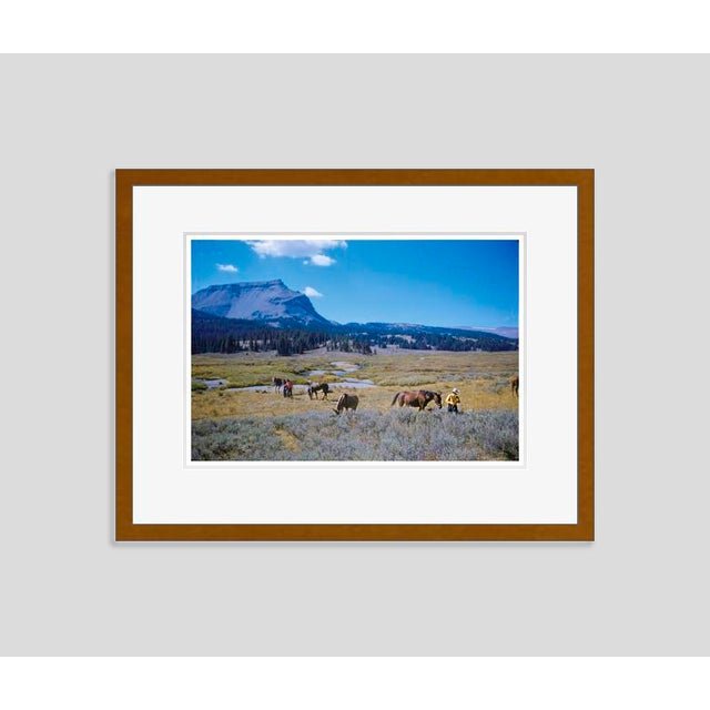 Modern A Pack Trip in Wyoming 1960 by Toni Frissell Framed For Sale - Image 3 of 3
