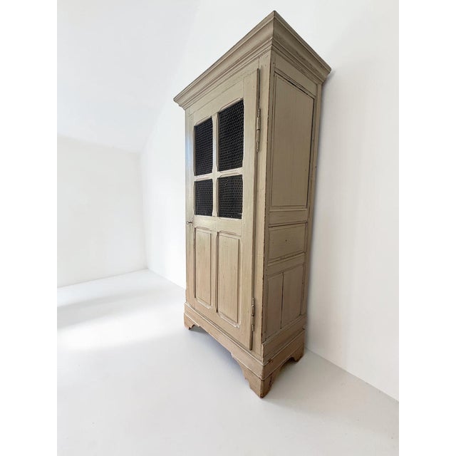 19th-Century French Provincial Painted Wire-Mesh Armoire For Sale - Image 15 of 18