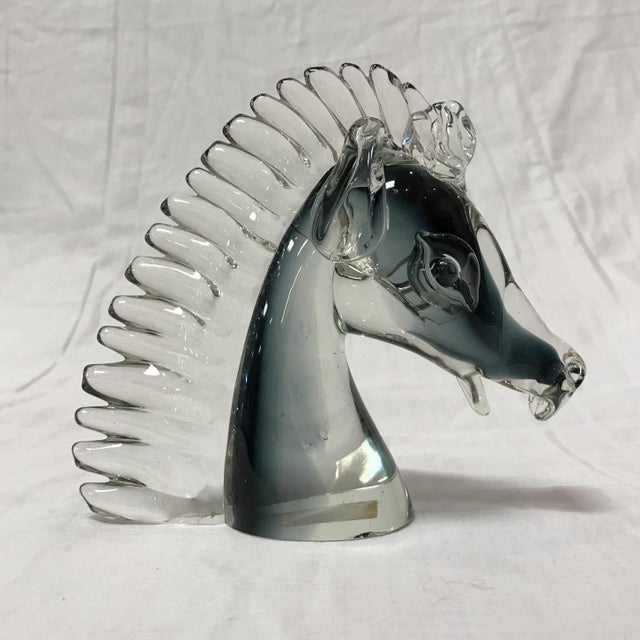 Glass Horse Head Made in Murano Chairish
