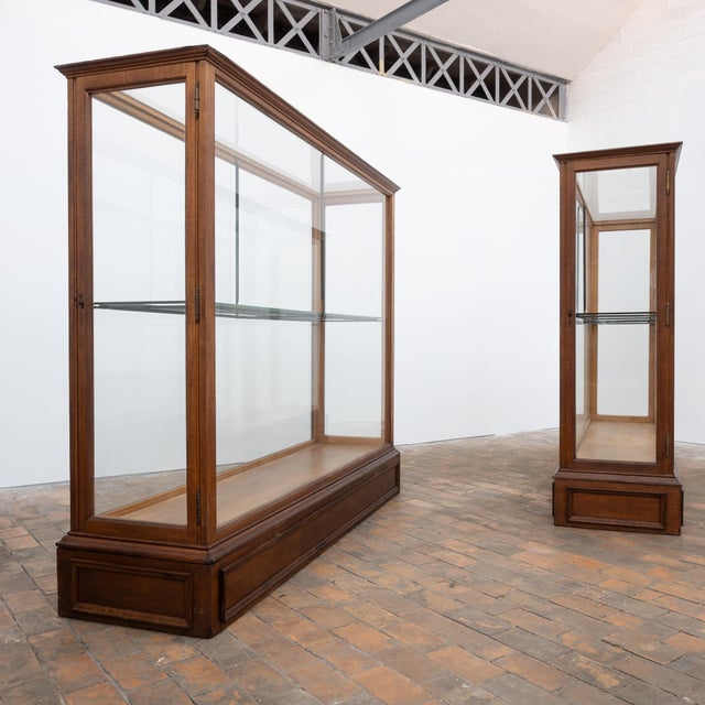 Antique Oak Museum Display Cases, 1900 For Sale - Image 12 of 13