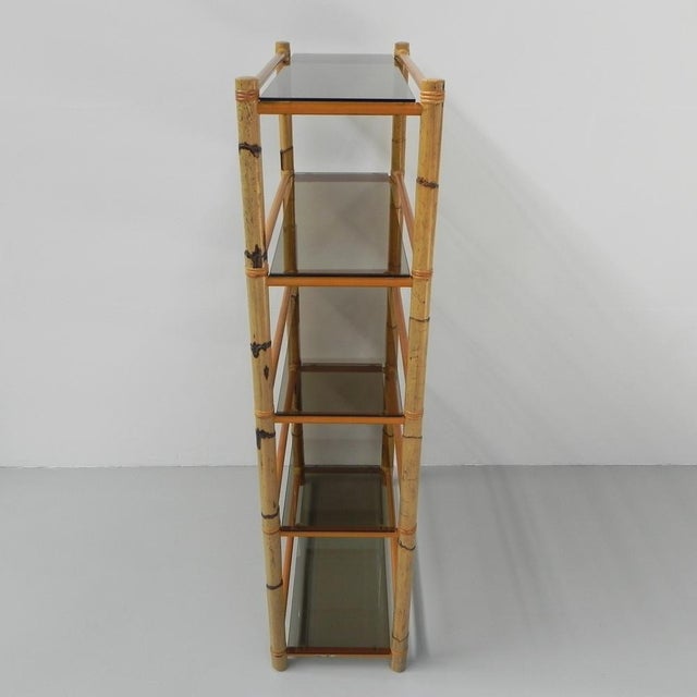 1950s Bamboo Showcase with 5 Smoked Glass Shelves, 1950s For Sale - Image 5 of 18
