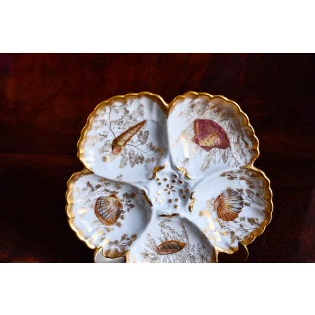 Antique Limoges T v Oyster Plate, Jones McDuffee & Stratton, Hand-Painted Shells, C. 1892-1907 For Sale - Image 10 of 10