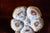 Antique Limoges T v Oyster Plate, Jones McDuffee & Stratton, Hand-Painted Shells, C. 1892-1907 For Sale - Image 10 of 10