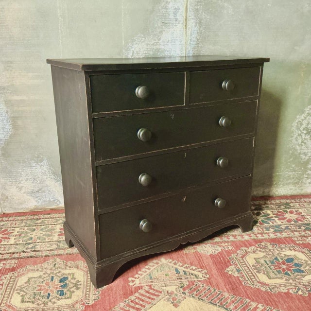 Mid 19th Century Victorian Painted Chest, 1850s For Sale - Image 5 of 7