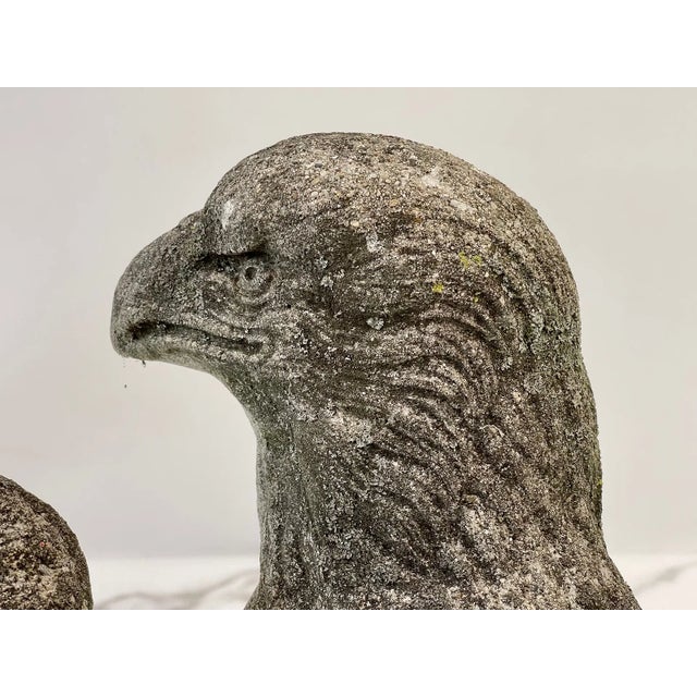 Mid-Century Modern Henri Studio Cast Concrete Vintage Eagle, the Perfect Decor for Your Garden, Original Patina a Very Nice Find. For Sale - Image 3 of 10