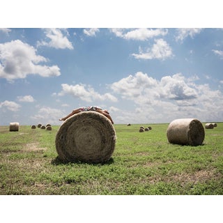 "Roll in the Hay" 1/50 Limited Edition Print For Sale