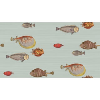 Cole & Sons Acquario Pale Blue & Multi Wallpaper 3 Double Rolls For Sale