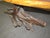 Wood Mid 20th Century Live Edge Side Table For Sale - Image 7 of 9