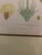 Illustration Mid-Century Framed Mark Catesby "Gordonia Loblolly Bay" Botanical Print, Coffey & Thompson For Sale - Image 3 of 12