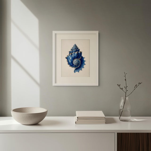 Set of 6 – Blue Conch Shells Collection | Coastal Natural History Fine Art Prints For Sale - Image 11 of 14