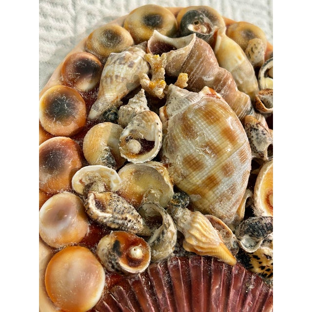 Peach Mid-Century Mermaid Grotto Sailors Valentine Sea Shell Encrusted Vanity Hand Mirror For Sale - Image 8 of 12