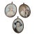 Antique Miniature Painting Set of Three Courtesans - Set of 3 For Sale