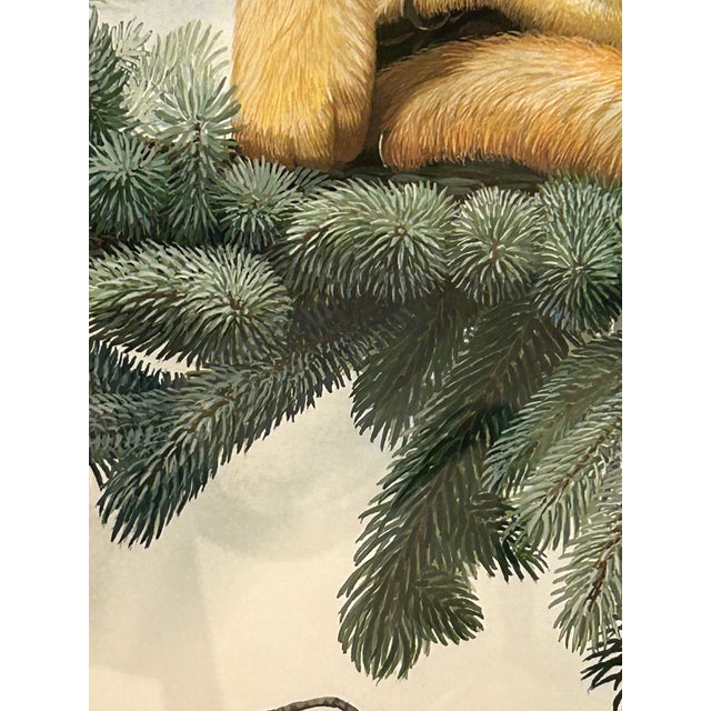 Meticulously Detailed Watercolors of Monkeys -Set of 3 For Sale - Image 12 of 12