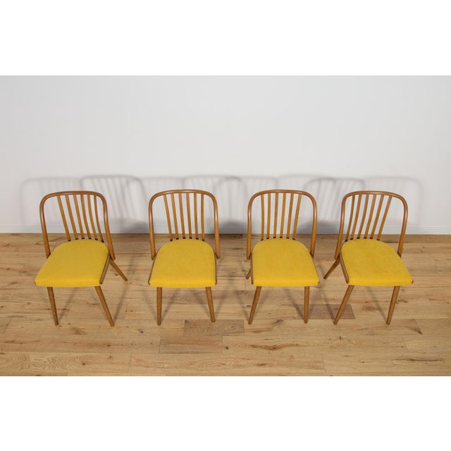 Dining Chairs by Antonín Šuman for Ton, 1960s, Set of 4 For Sale - Image 4 of 18