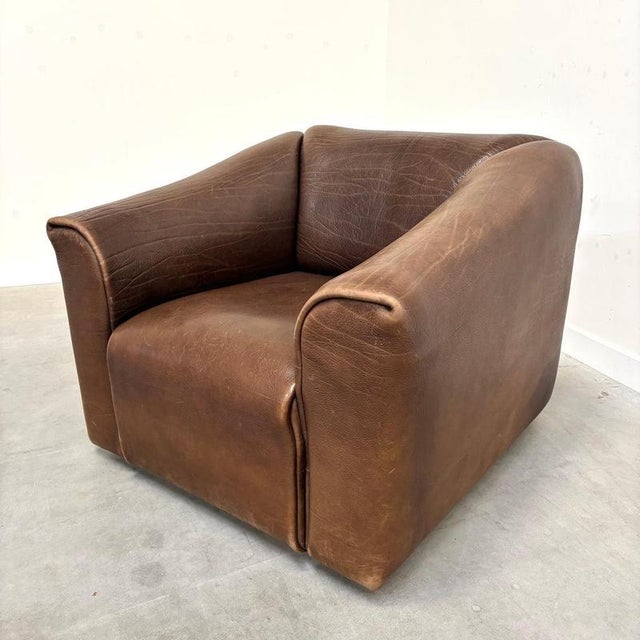 DS47 Lounge Chair from de Sede, Switzerland, 1970s For Sale - Image 6 of 13