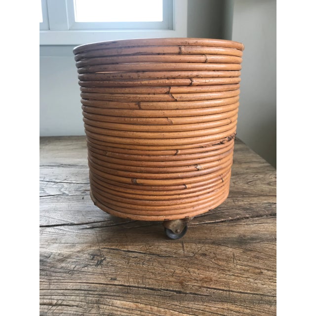 Mid-Century Modern 1970s Vintage Mid-Century Crespi Style Pencil Reed Rattan Bamboo Planter Italian For Sale - Image 3 of 12