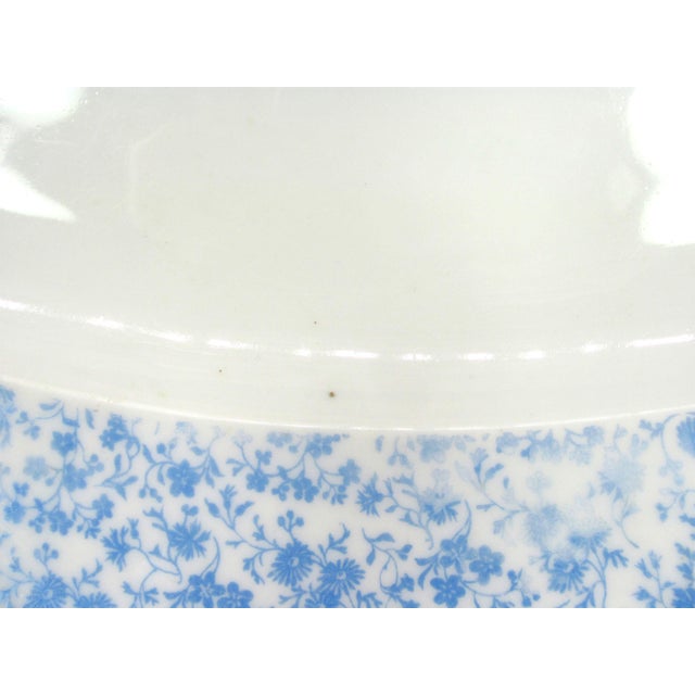 Cornflower Blue Antique France 18.75" Limoges Blue Chintz Cornflower Calico Micro-Flower Floral Transferware Deep Well Platter For Sale - Image 8 of 9
