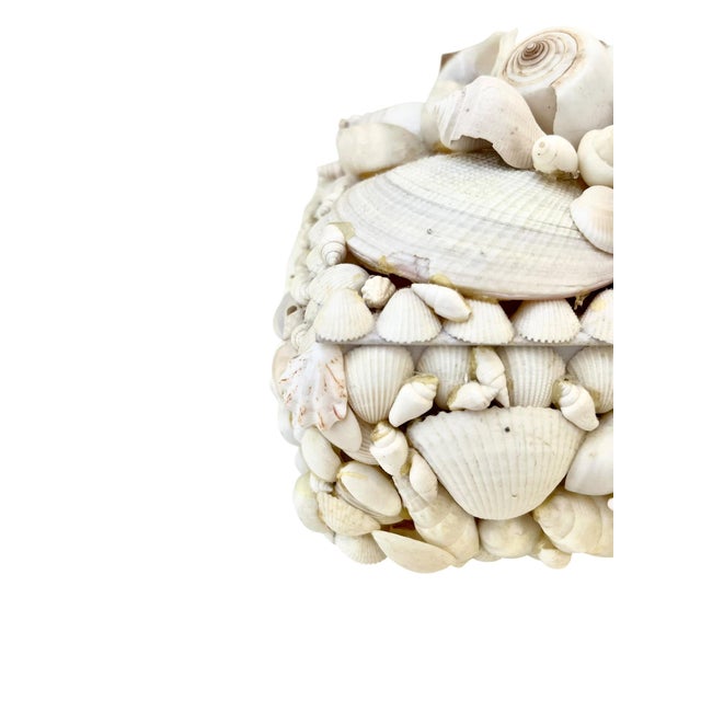 White Vintage White Seashell Covered Box Sailor’s Valentine For Sale - Image 8 of 15
