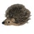Adorable tiny hedgehog. Felt face, ears and bottom, stripes on muzzle, black bead eyes and nose. Although the tag has been...