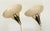 Art Deco Alabaster and Bronze Wall Sconces, 1950s, Set of 2 For Sale - Image 4 of 13