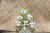 Italian 20th Century Italian/Venetian Blown Glass Botanical Candelabra For Sale - Image 3 of 8