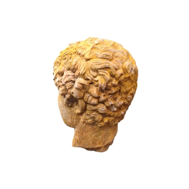 Classic Head in Stone Imitation, 1960s For Sale - Image 4 of 5