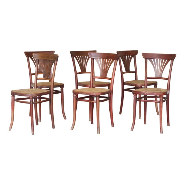 No. 221 Wickerwork Chairs by Michael Thonet for Thonet, 1920s, Set of 6 For Sale