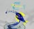 Vintage Italian Murano Glass Fish Figures-a Set of Six For Sale - Image 14 of 18