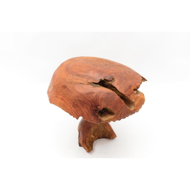 Large Mid-Century Modern Mushroom, 1960s For Sale - Image 9 of 16