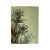 Mid-Century Modern Vintage Oil on Canvas Painting of Botanical Still Life, Signed Fredrick Childs For Sale - Image 3 of 7