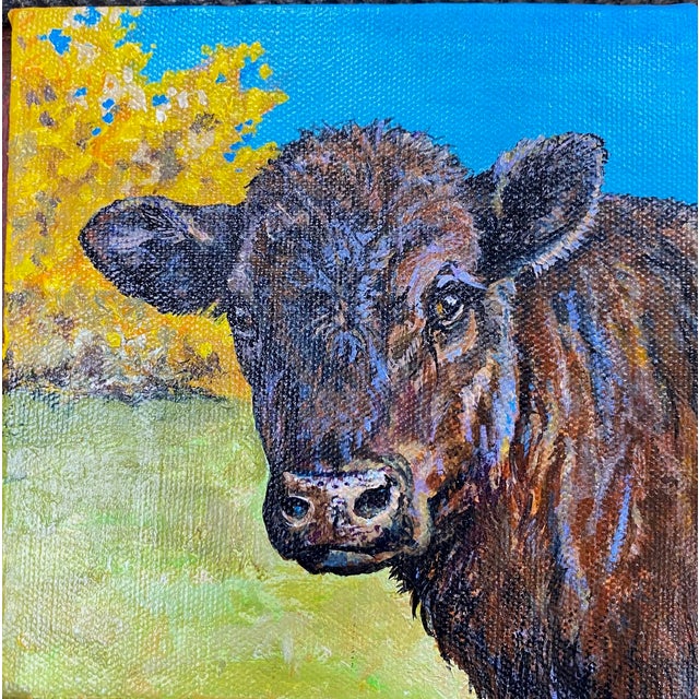 “Cutie Pie" I love watching calves play. Blue sky, autumn breeze, and the exuberance of youth. This Cutie Pie is looking...