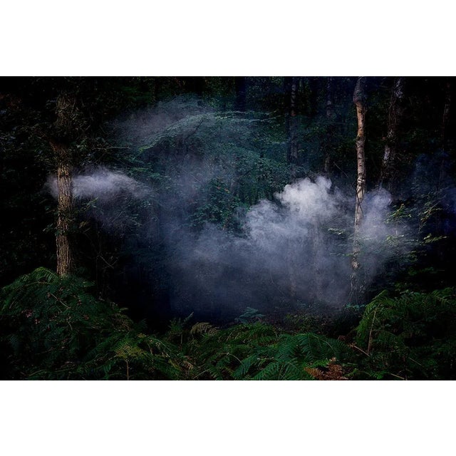 Between the Trees 7 is a Digital C-Type Print on Fuji Maxima Matte paper, available in this size from a Limited Edition of...