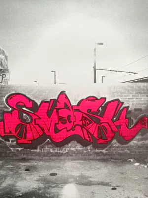 Street Art Silkscreen Print by Smash 137