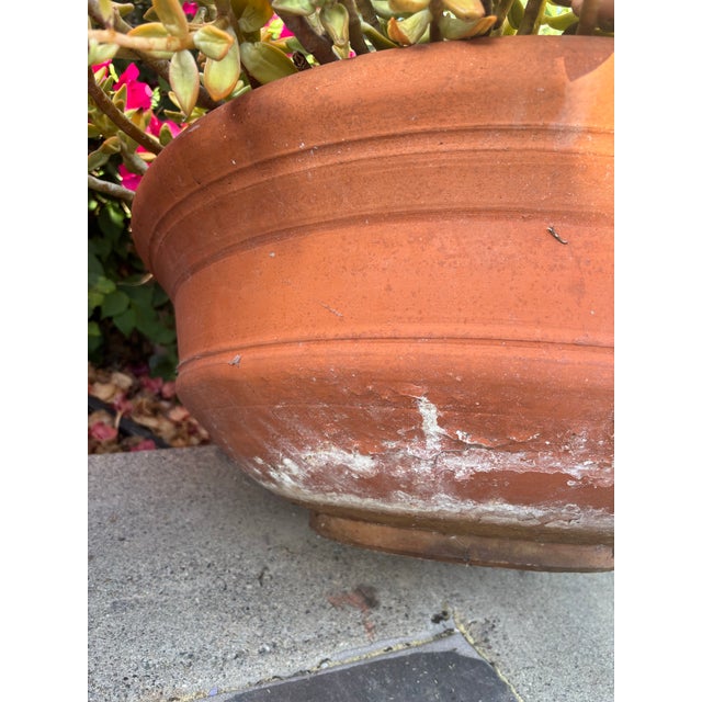 Ceramic Vintage California Terracotta Bowl Planter Gainey Saucer Sc-14, 24" For Sale - Image 7 of 10