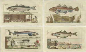 Fish Prints, 1832, Paper, Set of 4