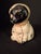 Antique Hubley Cast Iron Puppo Dog Coin Bank & Miniature Figure Set Grace Drayton For Sale - Image 11 of 17