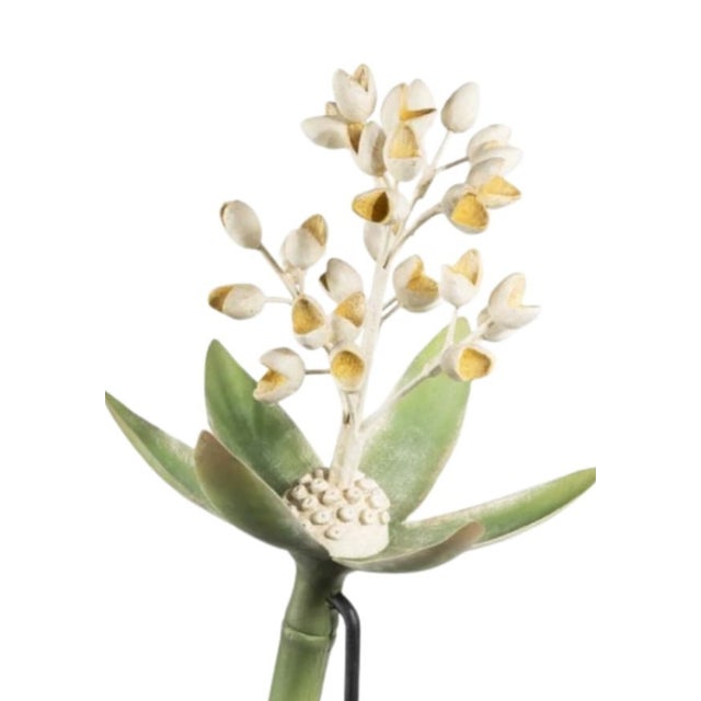 Blossoming Bud Botanical Model For Sale - Image 4 of 5