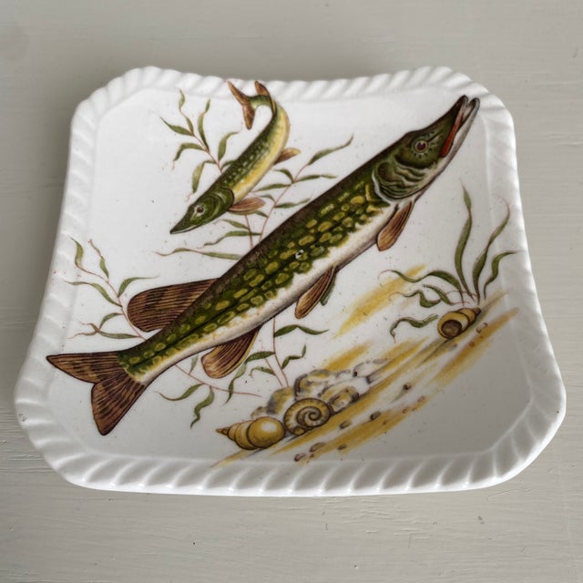 Vintage Petite Royal Adderly Fine Bone China Fish Service Plate or Trinket Dish For Sale In Dallas - Image 6 of 9