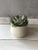 2020s Playa Atacama Scented Candle For Sale - Image 5 of 6