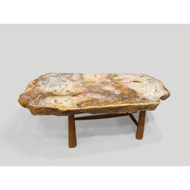 Andrianna Shamaris Beautiful Rare Petrified Wood Coffee Table For Sale In New York - Image 6 of 18